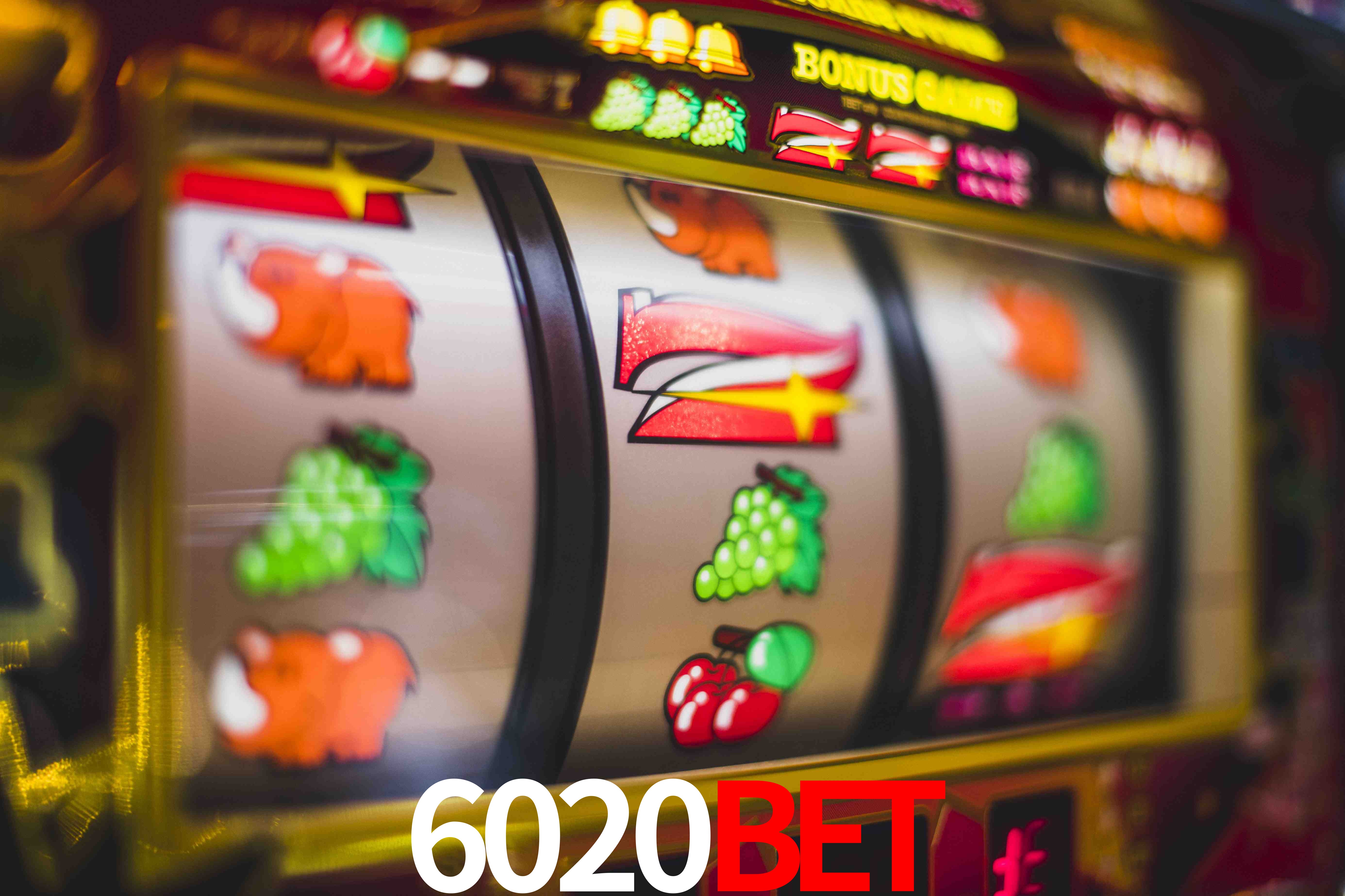 Tennis Betting 6020bet